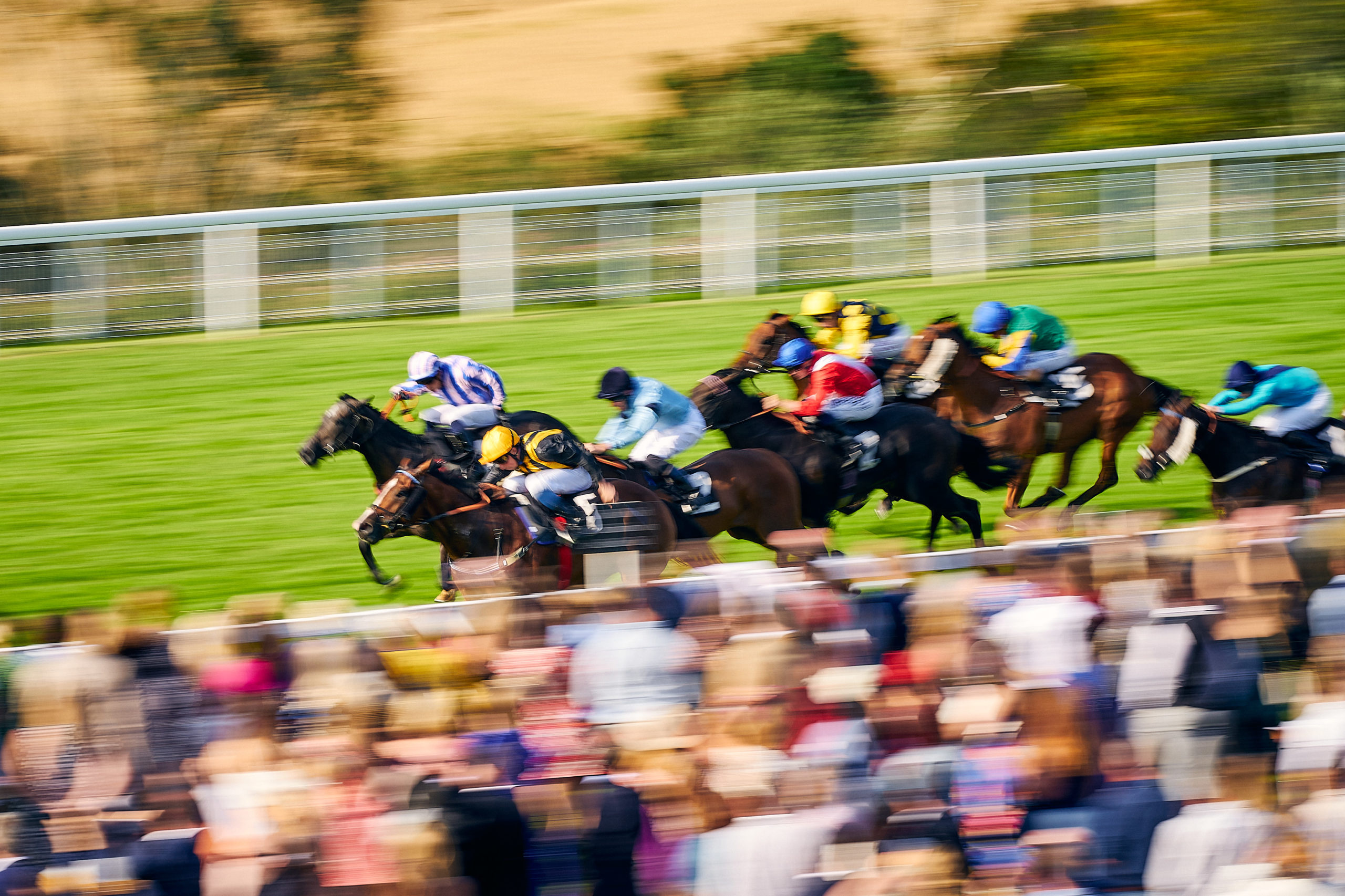 Glorious Goodwood Hospitality 2025 Trophy Events