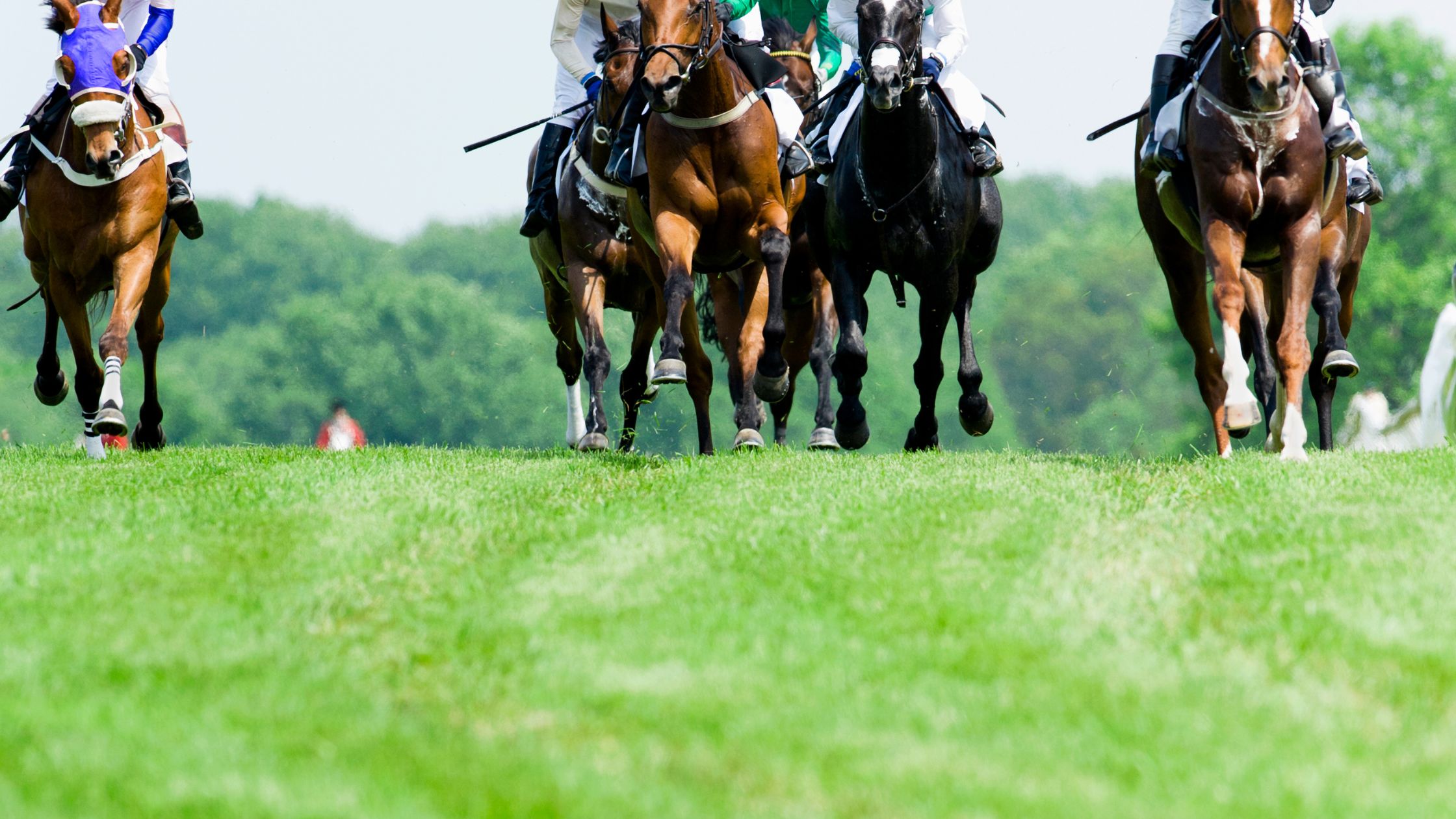 The Ultimate Guide to Glorious Goodwood Trophy Events